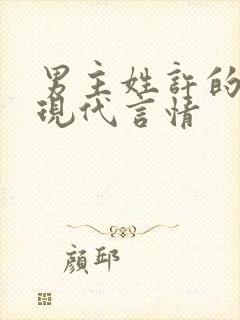 男主姓许的小说现代言情