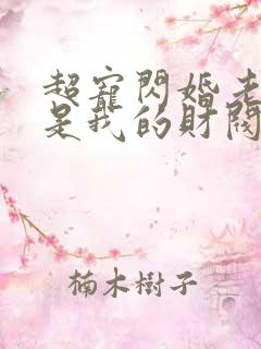 超宠闪婚老公竟是我的财阀大佬上司