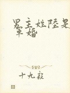 男主姓陆是首长 军婚