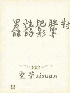 男性肥胖对性功能的影响