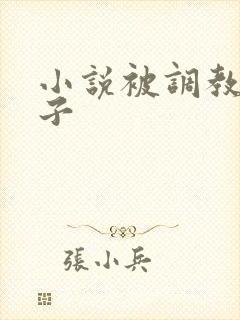 小说被调教的妻子