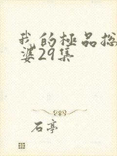 我的极品总裁老婆29集