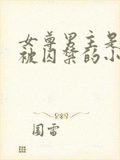 女尊男主是将军被囚禁的小说