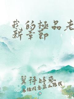 我的极品老婆最新章节