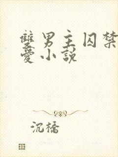 双男主囚禁强制爱小说