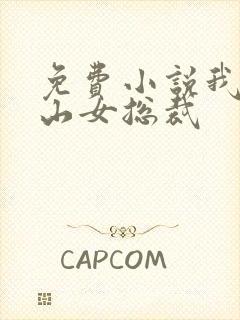 免费小说我的冰山女总裁