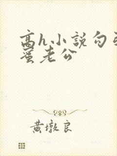 高h小说勾引闺蜜老公