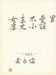 女主不爱男主的虐文小说