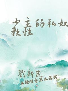 少主的私奴虐调教性