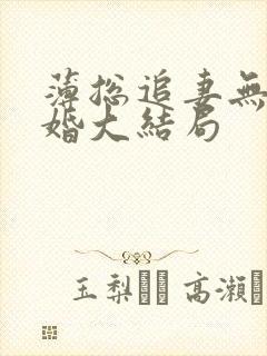 薄总追妻无爱不婚大结局