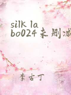 silk labo024未删减在线观看