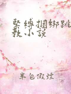 紧缚捆绑跳蛋调教小说