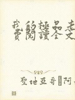 我的极品老婆免费阅读全文