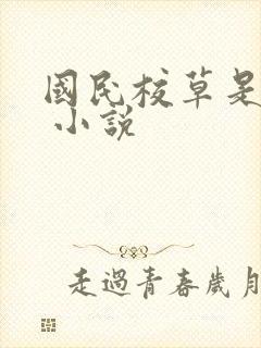 国民校草是女生 小说