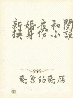 新婚夜和闺蜜互换身份小说在哪个软件可以看