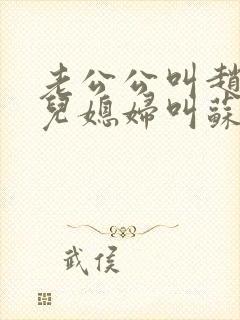 老公公叫赵大宝儿媳妇叫苏媚的小说