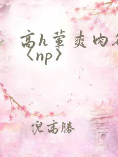 高h荤爽肉欲文〈np〉