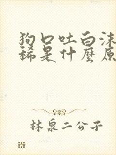 狗口吐白沫又拉稀是什么原因