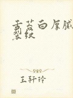 舌苔白厚腻中有裂纹