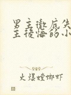 男主彻底失去女主后悔的小说