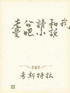 老公请和我谈恋爱吧小说