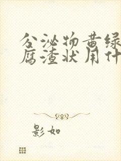 分泌物黄绿色豆腐渣状用什么药