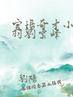 官场奇才小说陆羽刘云峰