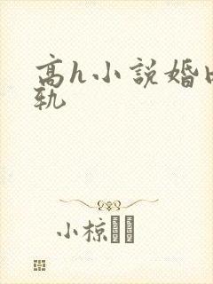 高h小说婚内出轨