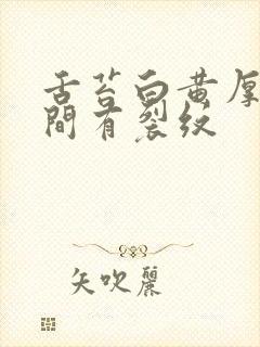 舌苔白黄厚腻中间有裂纹