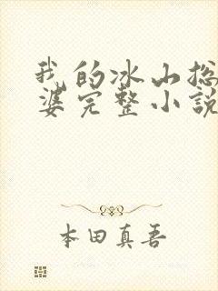 我的冰山总裁老婆完整小说