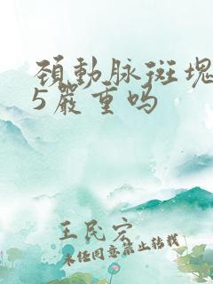 颈动脉斑块0.5严重吗