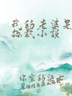 我的老婆是美女总裁小说