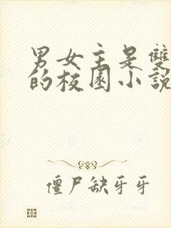 男女主是双校霸的校园小说