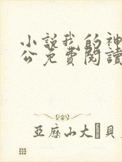 小说我的神秘老公免费阅读全文