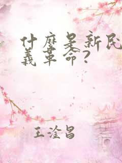 什么是新民主主义革命?