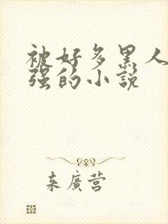 被好多黑人一启强的小说