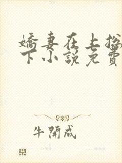 娇妻在上总裁在下小说免费阅读