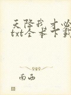 天降我才必有用txt全本下载