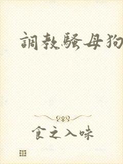 调教骚母狗校花