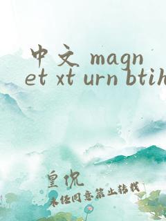 中文 magnet xt urn btih