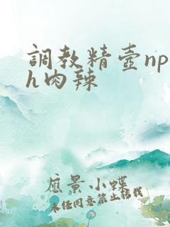 调教精壶np高h肉辣