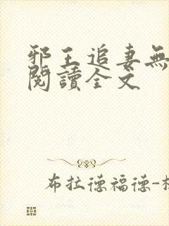 邪王追妻无删减阅读全文