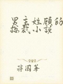 男主姓顾的现代总裁小说