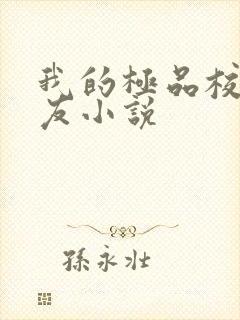 我的极品校花女友小说