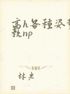 高h各种姿势调教np