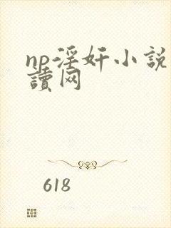 np淫奸小说阅读网