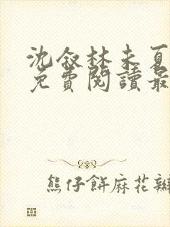 沈叙林未夏全文免费阅读最新章节