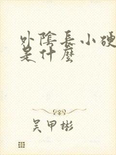 外阴长小硬疙瘩是什么