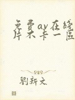 免费av在线看片不卡一区