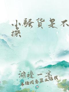 小骚货是不是欠操